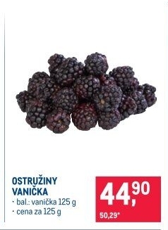Ostružiny