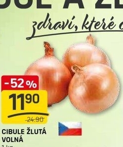 Cibule kuchyňská žlutá