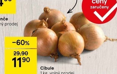 Cibule kuchyňská žlutá