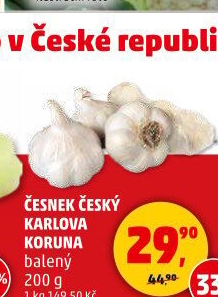 Česnek český Karlova Koruna