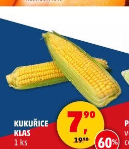 Kukuřice klas
