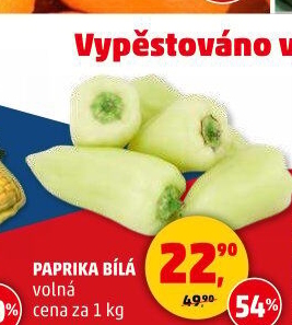 Paprika bílá
