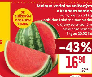 Meloun vodní