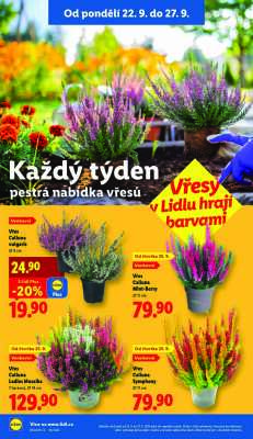 akční leták Lidl 22.9.2025-24.9.2025