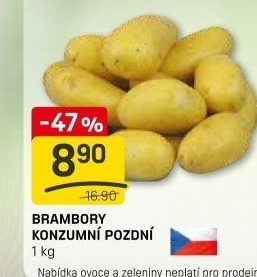 Brambory konzumní pozdní