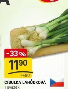 Jarní cibule svazek