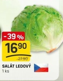 Salát ledový