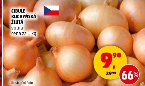 Cibule kuchyňská žlutá