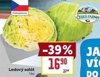 Salát ledový Česká farma