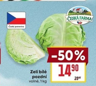 Zelí hlávkové bílé Česká farma