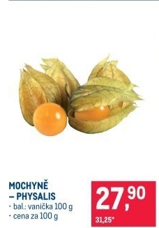 Physalis - Mochyně