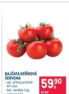 Rajčata keříková