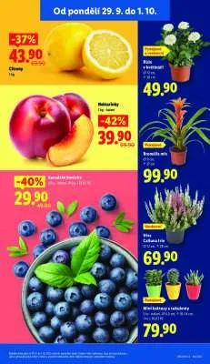 akční leták Lidl 29.9.2025-1.10.2025