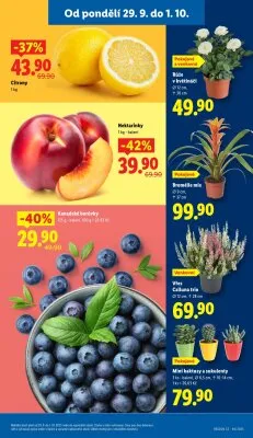 akční leták Lidl 29.9.2025-1.10.2025