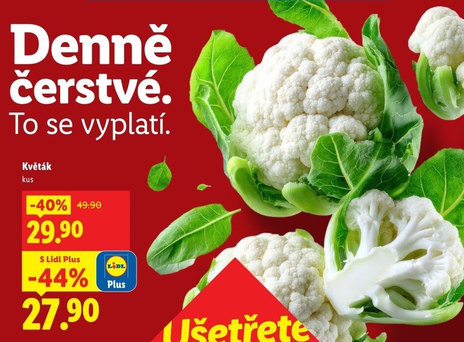 Květák