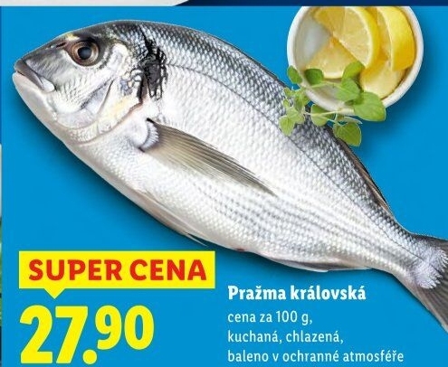 Pražma královská kuchaná