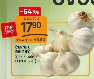 Česnek
