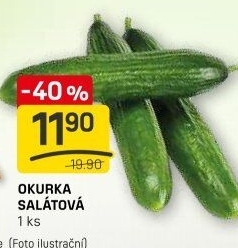 Okurka salátová - hadovka