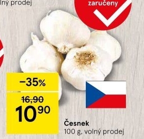 Česnek