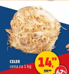 Celer bulva
