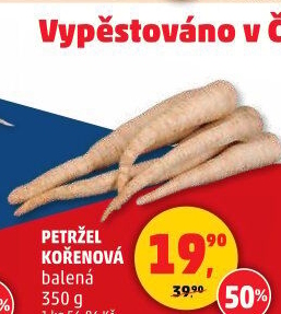 Petržel