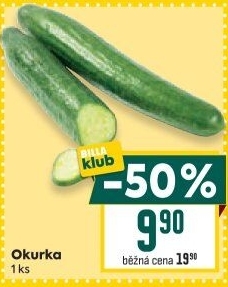 Okurka salátová - hadovka