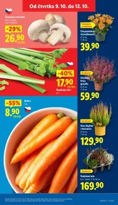 akční leták Lidl 9.10.2025-12.10.2025