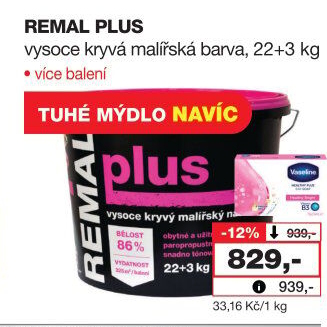 Malířský nátěr Plus Remal