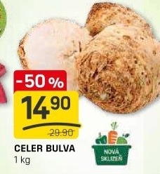 Celer bulva