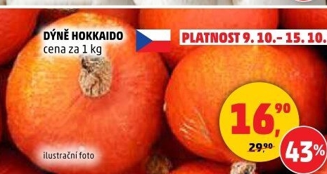 Dýně Hokkaidó