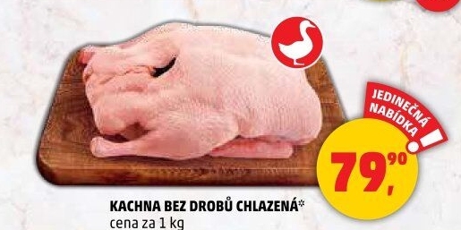 Kachna