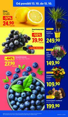 akční leták Lidl 13.10.2025-15.10.2025