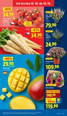 akční leták Lidl 16.10.2025-19.10.2025