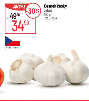 Česnek český