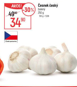 Česnek český