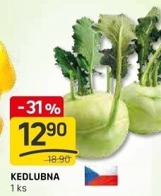Kedlubna bílá