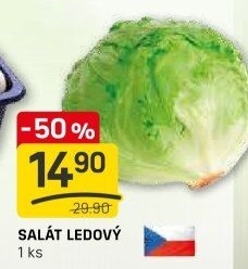 Salát ledový