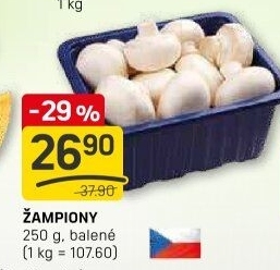 Žampiony