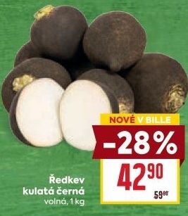 Ředkev černá