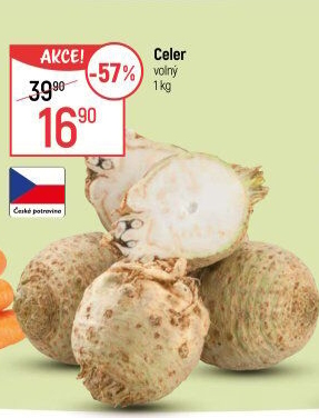 Celer bulva