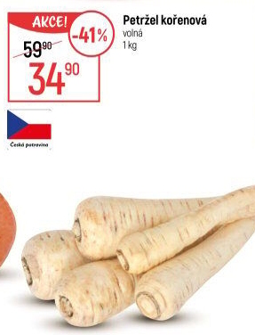 Petržel