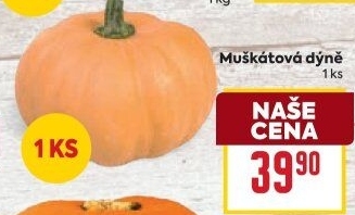Dýně muškátová
