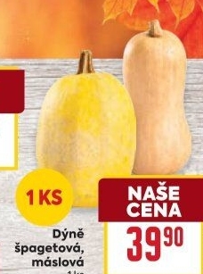 Dýně špagetová