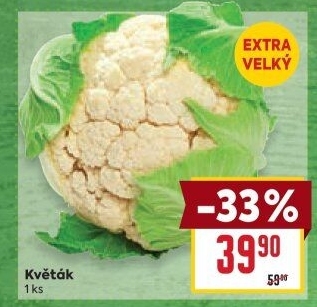 Květák