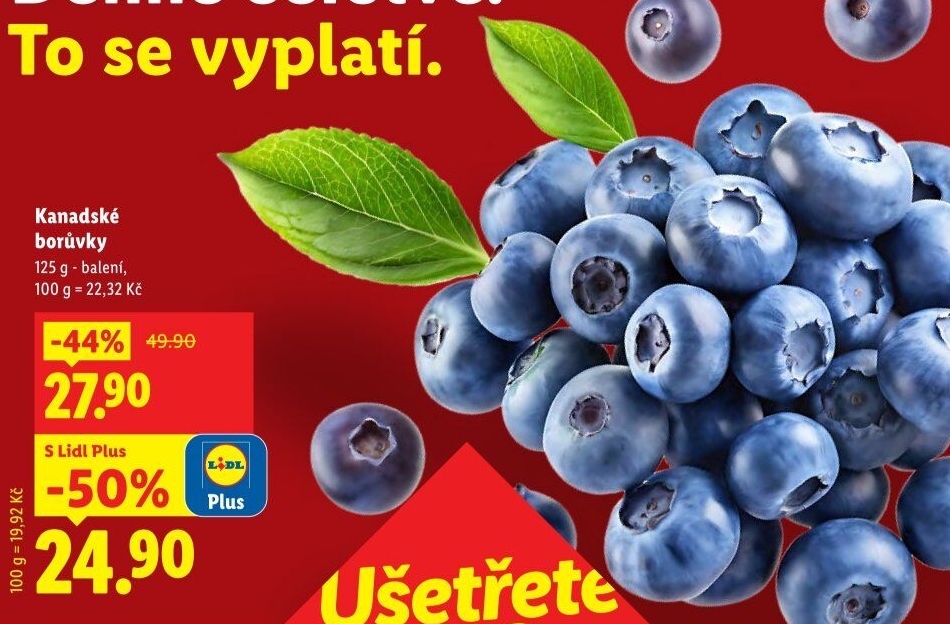 Borůvky