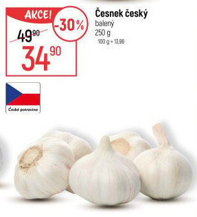 Česnek český