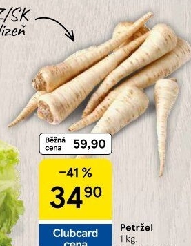 Petržel