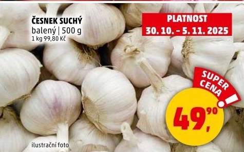 Česnek