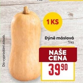 Dýně máslová