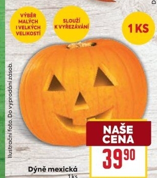 Dýně mexická